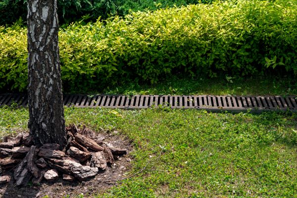 Cost of Wet Yard Drainage in Westminster