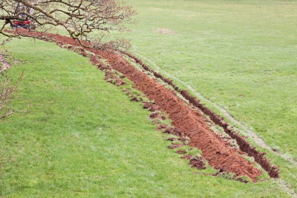Cost of Swale Installation in Westminster